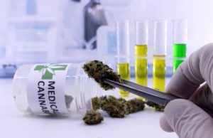 Data Breach Exposes PII of Aurora Cannabis’ Present and Former Employees Medical Cannabis Users Suffer Data Breach
