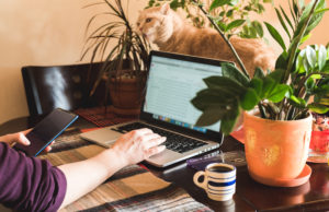 Are You Remotely Secure? remote work