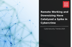 Big Game Hunting was gaining momentum in 2020: Dmitry Volkov Dmitry